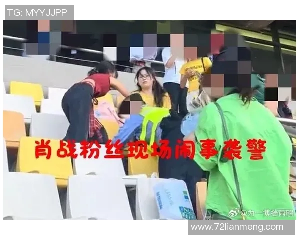 足球迷袭击球星事件背后的真相与影响揭示：粉丝狂热引发的暴力冲突分析